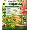 Монталин Сингапур