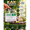 Ноха 10 капсул+20 таб дексаметазона